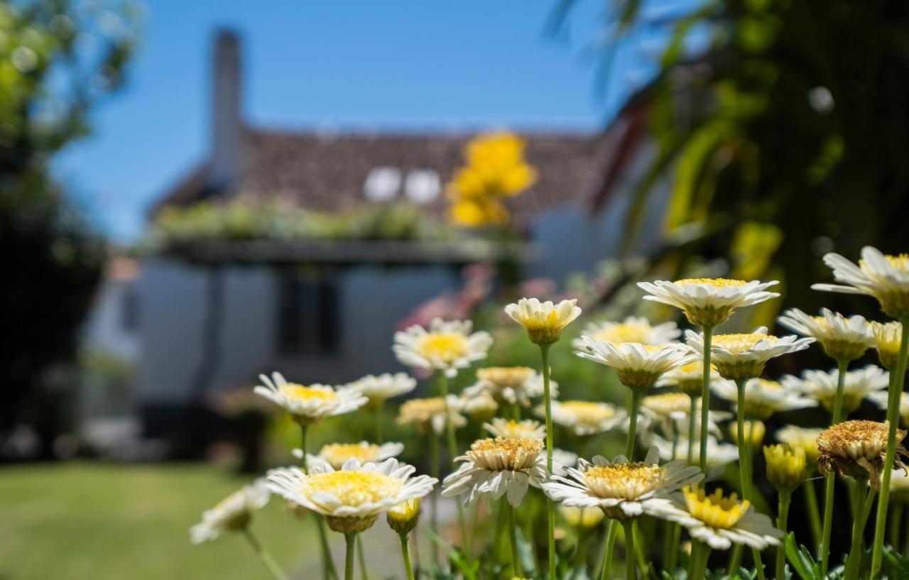 Casa Tradicional Da Holiday home *